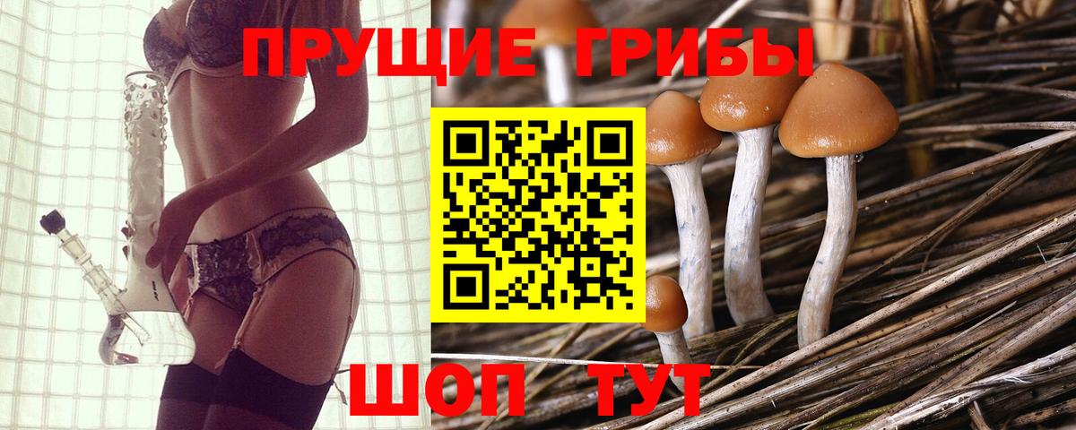 Галлюциногенные грибы Magic Shrooms  Вход с VPN  Галлюциногенные грибы ЛСД  Элиста 