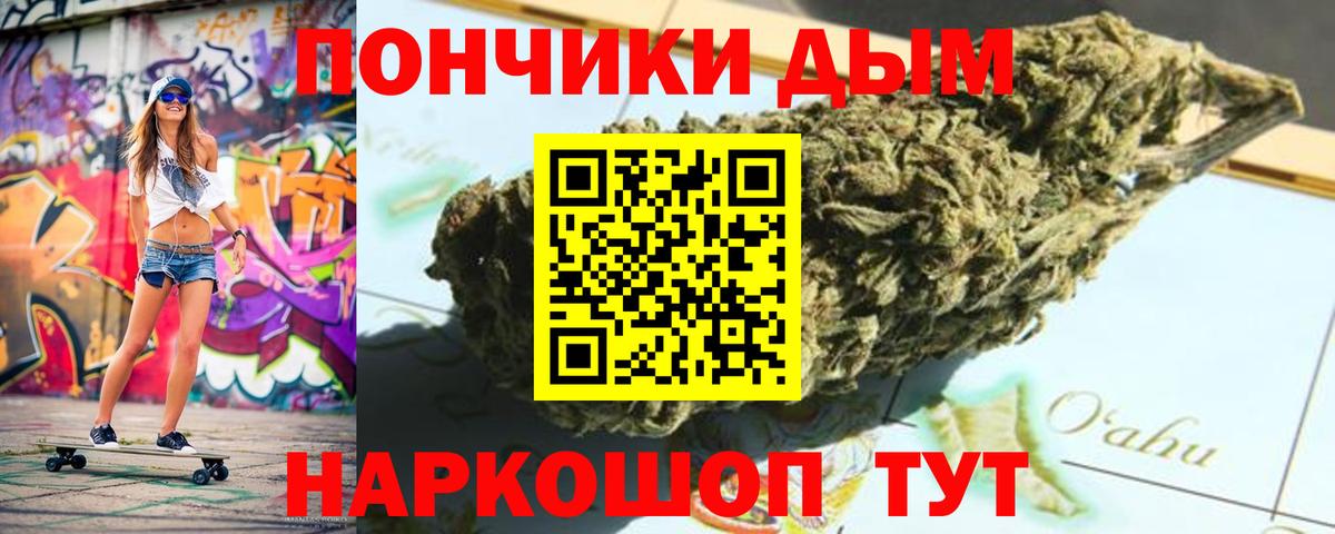 Шишки марихуана Ganja  Марихуана план  Вход с VPN  Бошки Шишки семена  Элиста 
